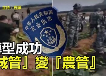 【頭頭是道】城市經濟變差，城管成為失業大軍，農管來了，可以換跑道再顯身手；參與白紙運動的經歷，選擇發聲。主持：石頭