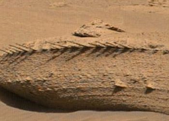 NASA拍到有史以來最神秘的魚骨照片。（圖片來源：NASA）