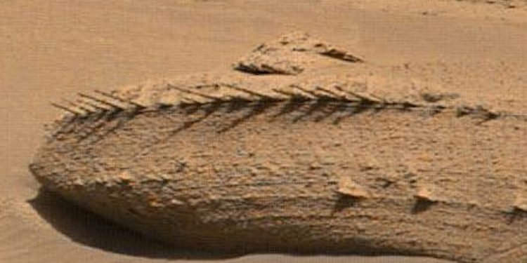 NASA拍到有史以來最神秘的魚骨照片。(圖片來源:NASA)