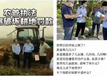 中共“農管”上崗，被爆管到田間地頭，甚至農家院。（網絡圖片）