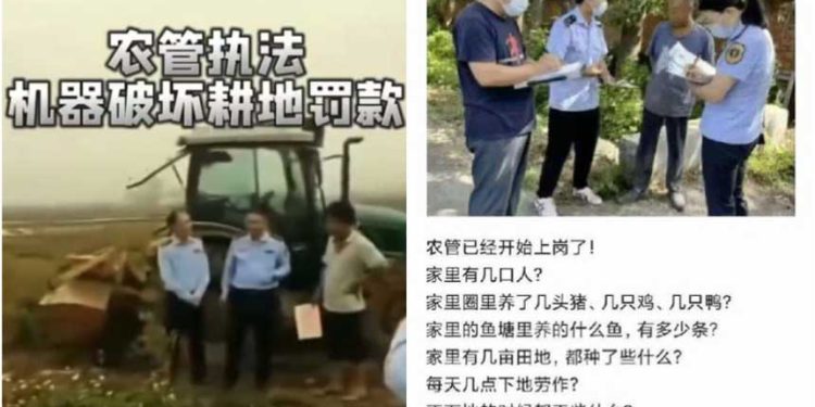 中共“農管”上崗,被爆管到田間地頭,甚至農家院。(網絡圖片)