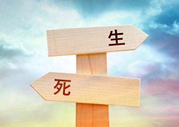 瑞典女子因車禍瀕死 見到未來的丈夫與孩子【姐姐講故事】