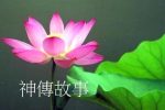 香港希望之聲