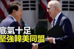 香港希望之聲 香港希望之聲