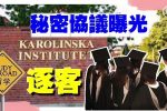 香港希望之聲 香港希望之聲