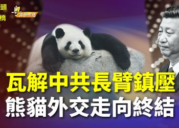 【粵講粵有理】瓦解中共長臂鎮壓   熊貓外交走向終結