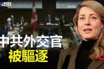 香港希望之聲