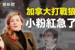 香港希望之聲