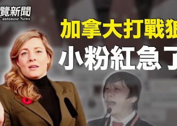 【粵覽新聞】加拿大這一槍意義重大 小粉紅急了 說出這些話震驚全網 主播：紫君  
