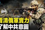 香港希望之聲 香港希望之聲