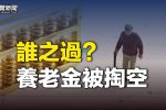 香港希望之聲 香港希望之聲