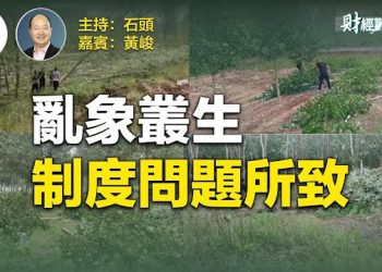 【財經觀察站】退林還耕、退路还耕的前世今生    主持人：石頭 嘉賓：黃峻