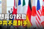 香港希望之聲