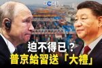 香港希望之聲