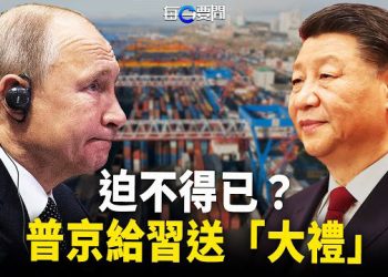 【每日要聞】Skype中國通話被全面掐斷 中共懼怕這個？罕見獲海參崴使用權 普京不得已給習送「大禮」？  主播：黃容