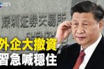 香港希望之聲