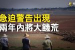 香港希望之聲