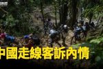 香港希望之聲 香港希望之聲