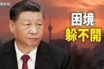 香港希望之聲 香港希望之聲