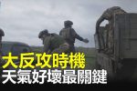 香港希望之聲 香港希望之聲