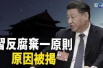 香港希望之聲