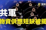 香港希望之聲 香港希望之聲