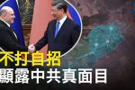 香港希望之聲 香港希望之聲