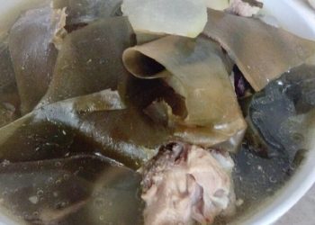 【梁廚美食】荷葉冬瓜海帶西施骨湯/艾草功效