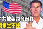 香港希望之聲 香港希望之聲