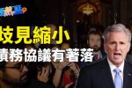 香港希望之聲