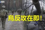 香港希望之聲 香港希望之聲