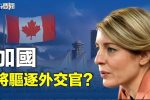 香港希望之聲