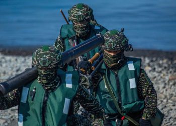 數額不少 美防長確認向臺灣提供重大軍事援助