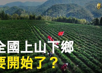 【粵覽新聞】台媒實地探訪揭深圳慘狀 習近平一封信釋不祥信號；美憂俄烏戰使中俄趨近 評論：獨裁國家只有利益牽絆  主播：黃曉翔 芬妮 