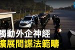 香港希望之聲