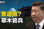 香港希望之聲