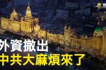 香港希望之聲 香港希望之聲