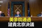 香港希望之聲
