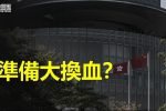 香港希望之聲
