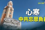 香港希望之聲 香港希望之聲