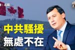 香港希望之聲