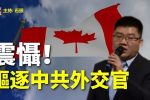 香港希望之聲
