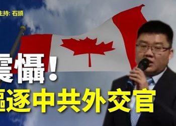 【頭頭是道】加拿大決定驅逐干預別國內政、恐嚇民選官員的外交官；懶理中共報復歐盟要製裁中國援俄企業。主持：石頭