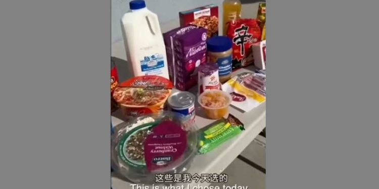 華人夫婦月入上萬卻在美領福利 遭美中網友怒批 (網絡圖片/希望之聲合成)