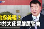 香港希望之聲