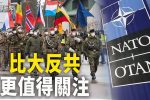 香港希望之聲