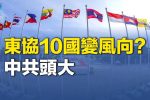 香港希望之聲