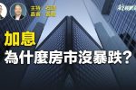 香港希望之聲