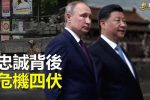 香港希望之聲