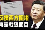 香港希望之聲